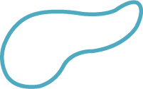 Diabetes y endocrinología